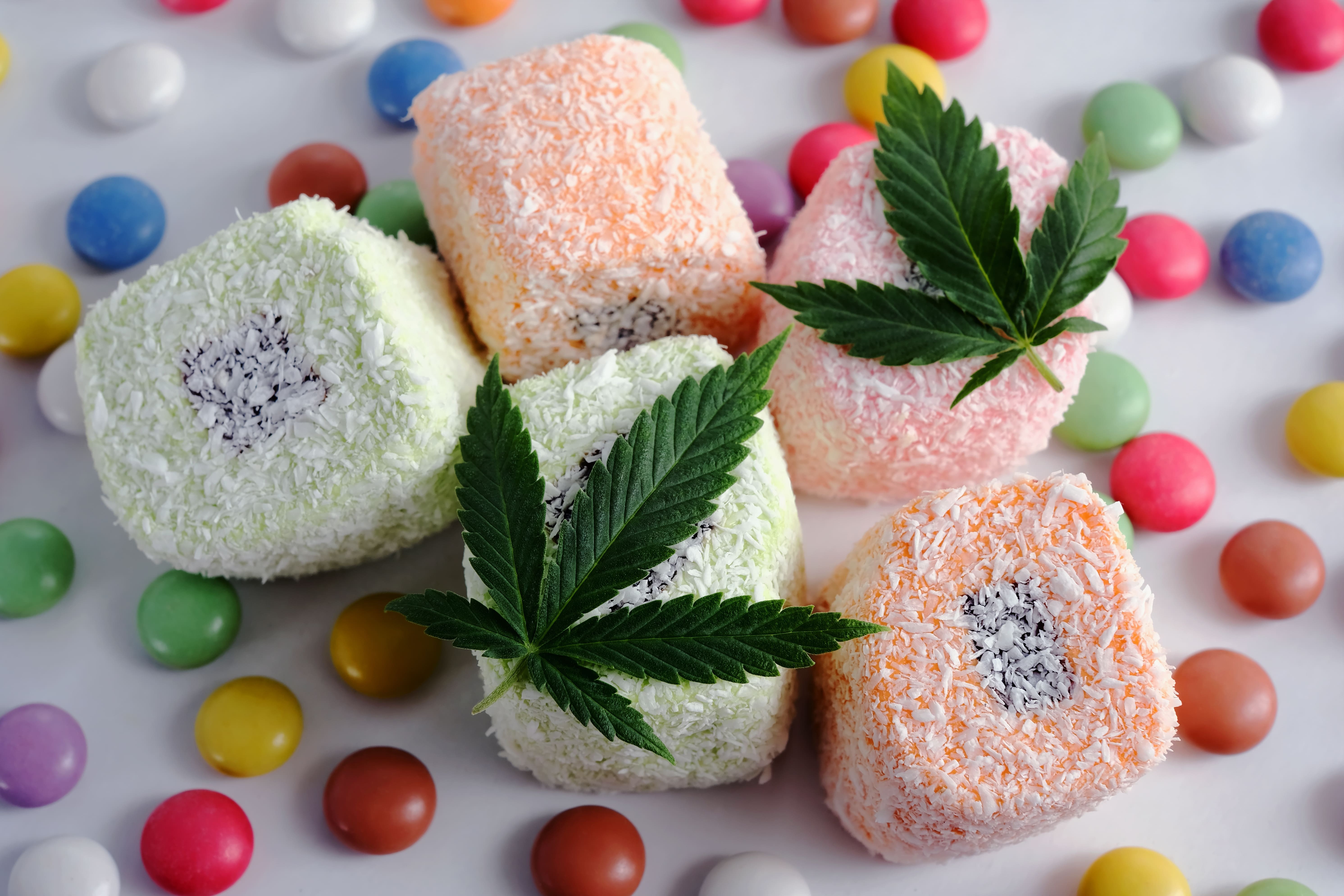 Do Edibles Expire Or Go Bad Do Edible Gummies Expire? We Have the Answer! | Blog Articles: Stay